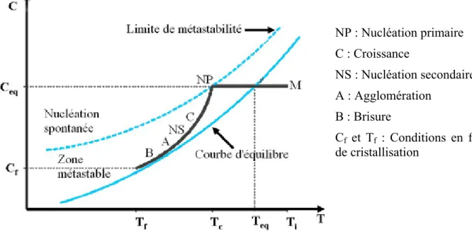 Figure I-7. Evolution de la concentration en solution au cours d'une cristallisation obtenue par abaissement de  la température (Puel et al., 2005)