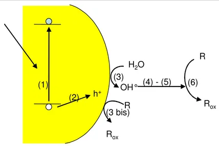 Figure 2.6 : Représentation  schématique  des étapes  de la  photocatalyse  dans  les films de  silice  mésoporeuse :  (1)  absorption  du  rayonnement  lumineux  et  génération  d’une  paire  électron-trou,  (2)  transfert  du  trou  à  la  surface  du  c
