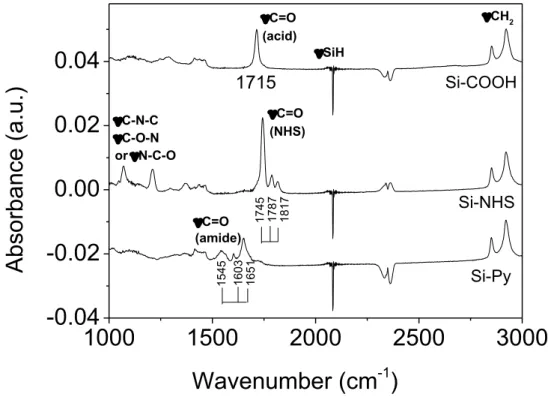 Figure 2.5. FTIR-spectra (p-polarization) of COOH, COOSuc and Pyridine terminated layers 