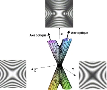 Fig. 7 – Surface d'égale différence de phase et figures d'interférences pour un milieu biaxe