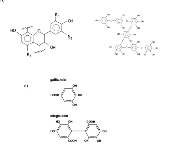 Figure  3 : unités de base de tannins a) phlorotannins, b) proanthocyanidine , c) tannins  hydrolysables 