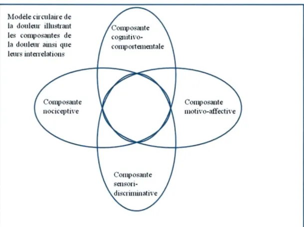 Figure 1 : Le modèle circulaire de la douleur. 