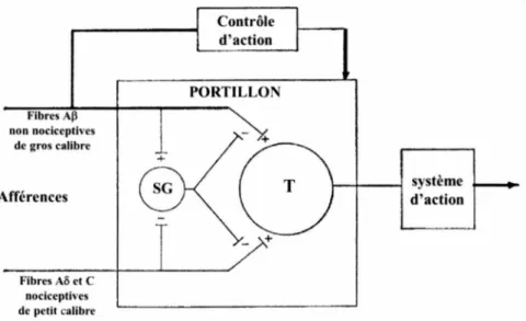 Figure 4 : La théorie du portillon. 