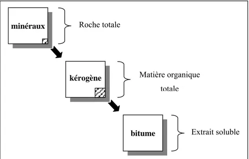 Figure 1.1. : Composition de la MO dans les roches sédimentaires anciennes (modifié d’après 