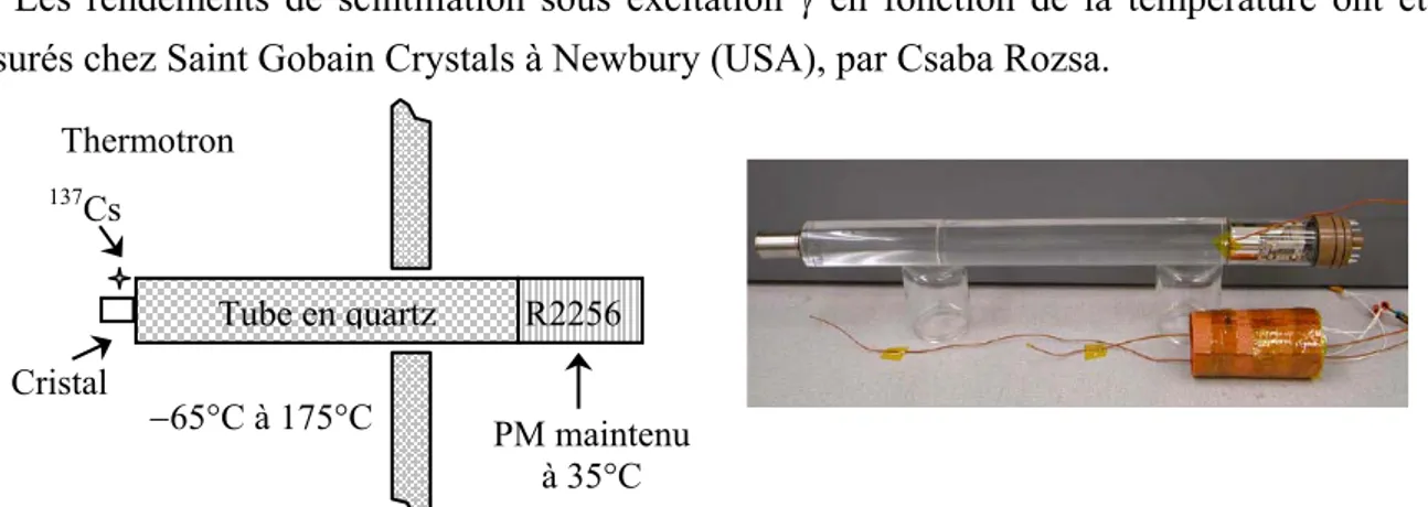 Figure II 15 : Schéma et photographie du montage employé pour les mesures de rendement de scintillation en température.