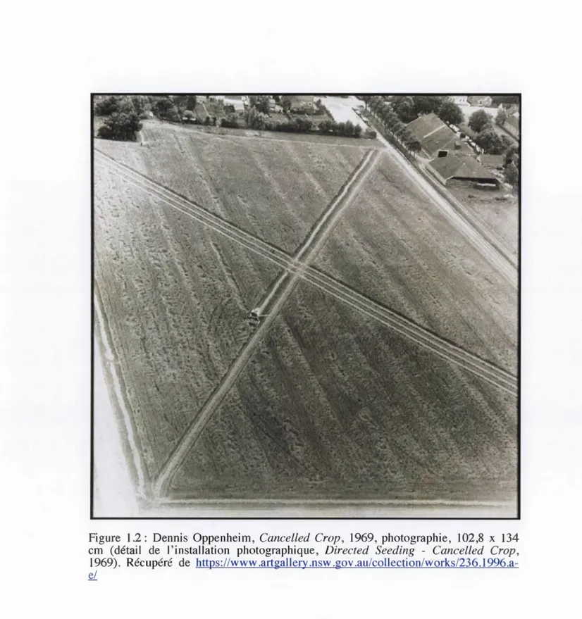 Figure  1.2:  Dennis  Oppenheim ,  Can c ell e d  Crop ,  1969 ,  photographie ,  102 , 8  x  134  cm  (détail  de  l ' installation  photographique ,  Dir ec t e d  S ee ding  - Can ce ll e d  Crop ,  1969)