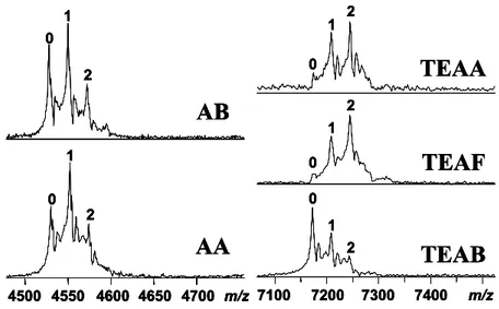 Fig. II.B.2 : 4 M CK + 16 M ADP dans différents tampons. A gauche : AB et AA, état de 