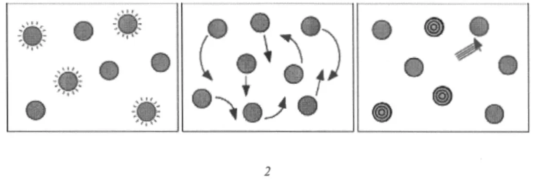 Figure 1.2  Multiple-Object Tracking. (From Pylyshyn 2003) 