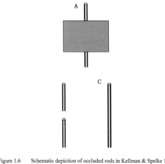 Figure 1.6  Schematic depiction of occluded rods in Kellman  &amp;  Spelke 1983. 