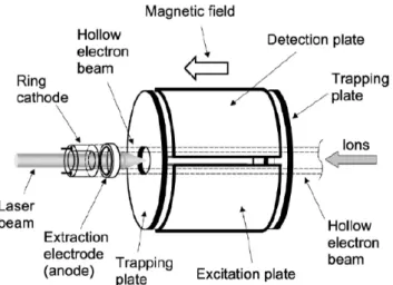 Figure 19: Cellule ICR montrant la possibilité d’utilisation conjointe de l’ECD et de l’IRMPD grâce à un  cathode creuse