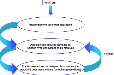 Figure 30: Stratégie de découverte de nouvelles activités pharmacologiques employés pour le venin de  Dendroaspis angusticeps