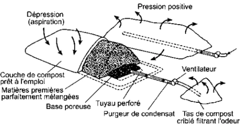 Figure 4.2 : Compostage en piles statiques aérées sans agitation mécanique (tirée de FAO, 2005) 