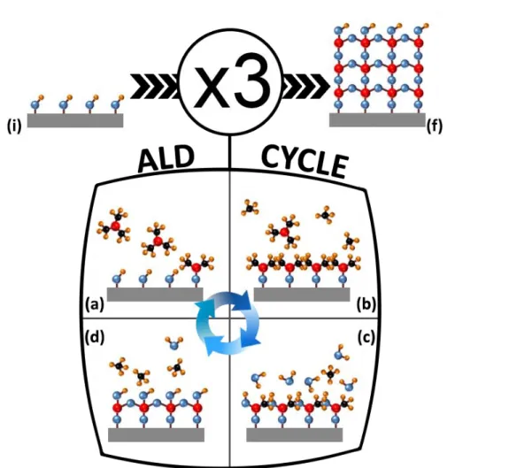 Figure  2.1:  Principle  of  ALD  process  based  on  TMA  and  H 2 O.  Blue,  yellow,  red  and 