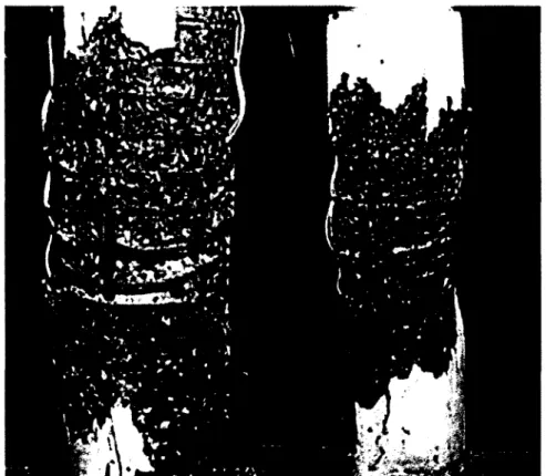 Figure 2-27: Specimens with normal yield  strength confining reinforcement after testing (Bing et al