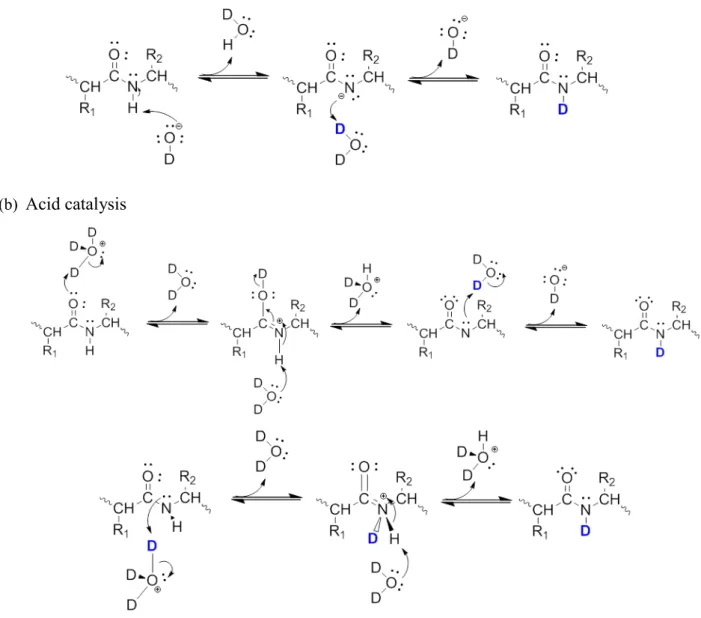 Figure 3 mechanisms of hydrogen/deuterium exchange in peptide/protein backbone amides