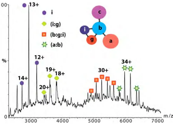Figure 2 MS spectrum of the yeast eIF3 isolated by tagging subunit eIF3b. [12] 