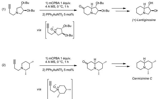 Figure 1-65 : Etape-clé des synthèses de la (+)-Lentiginosine et de la Cermizine C 