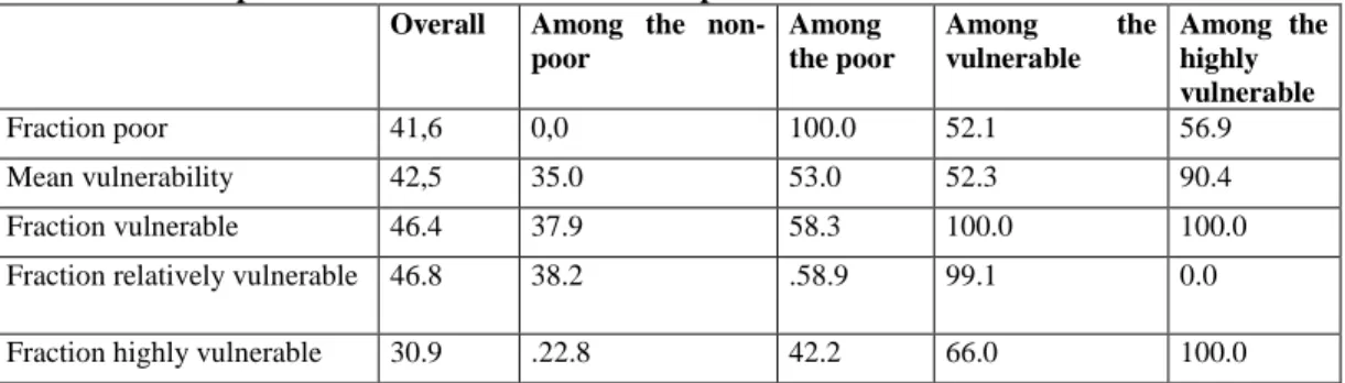 Table 17 : Descriptive statistics of vulnerable and poor households 