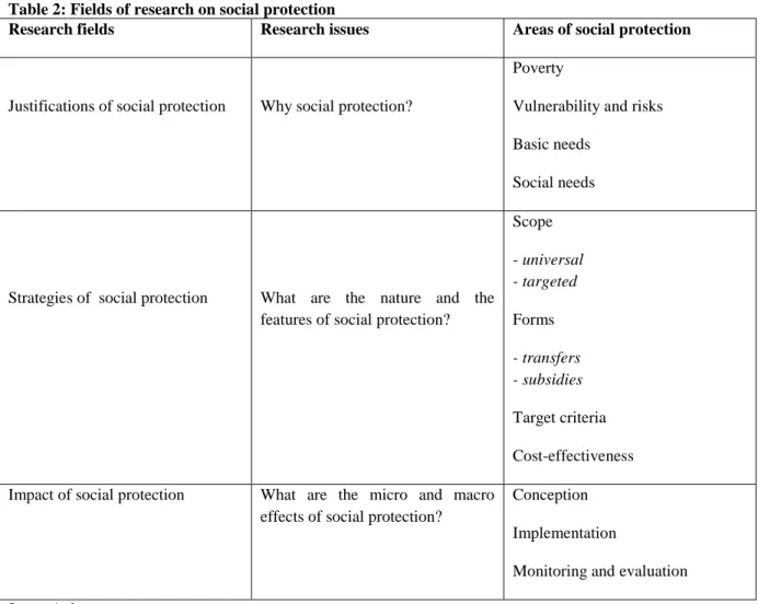 Table 2: Fields of research on social protection 