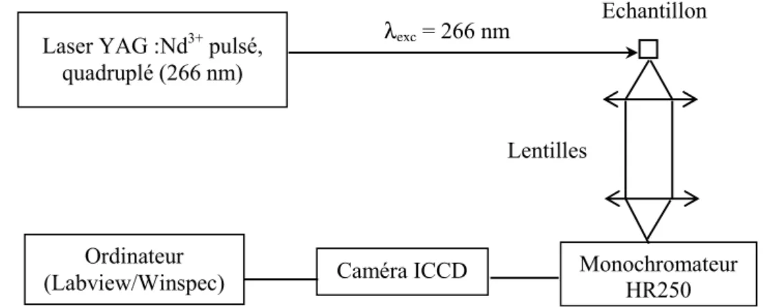 Fig. II-12 : Dispositif expérimental d'acquisition des spectres de fluorescence et des déclins de  fluorescence sous excitation laser