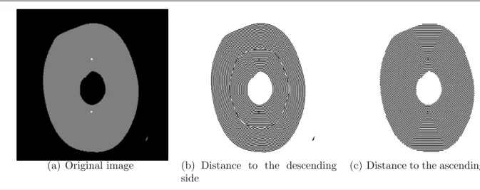 Figure 7: Distances to the sides of a ring with two elevated points near the interior side