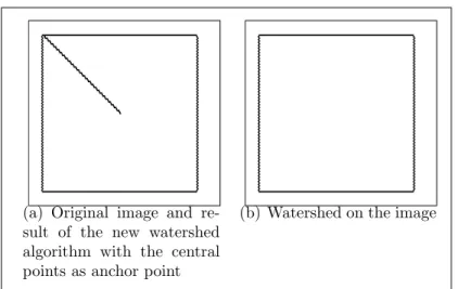 Figure 13: An example of application of the new watershed algorithm