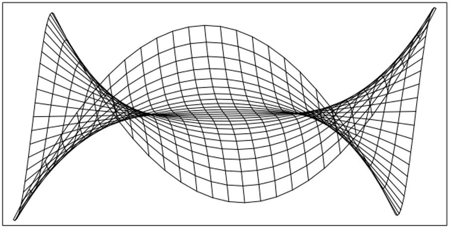 Figure 6: Gradient field of a buttonhole
