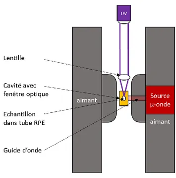 Figure 2.6 : Représentation schématique du montage utilisé lors des mesures de RPE avec excitation optique  in situ