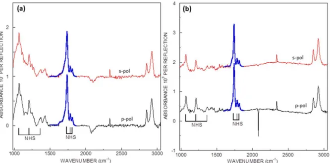 Figure  2.6  IR-ATR  spectra  in  s-  (red)  and  p-  (black)  polarization  of  NHS  ester-terminated  surfaces
