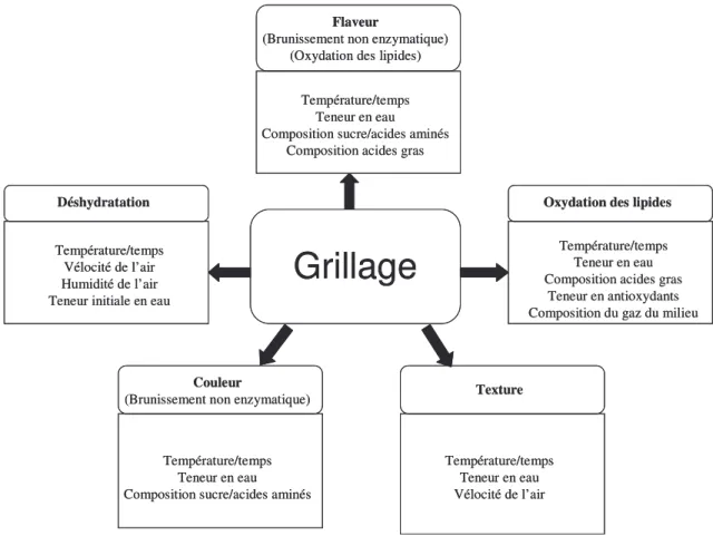 Figure 6. Effet de la torréfaction sur les noix et graines. 