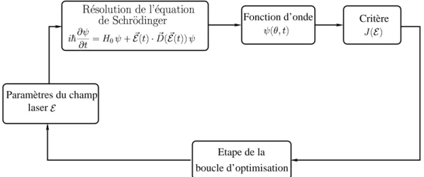 Fig. 1.6 – Sch´ema pour trouver le champ laser optimal.