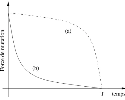 Fig. 1.10 – ´ Evolution de l’amplitude de la mutation en fonction du temps.
