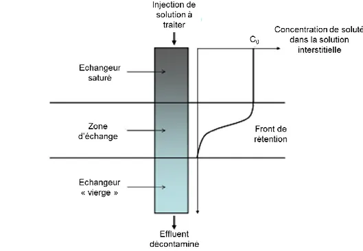 Figure 4 : Schéma représentatif du front de saturation dans une colonne garnie d’échangeurs ioniques [8]