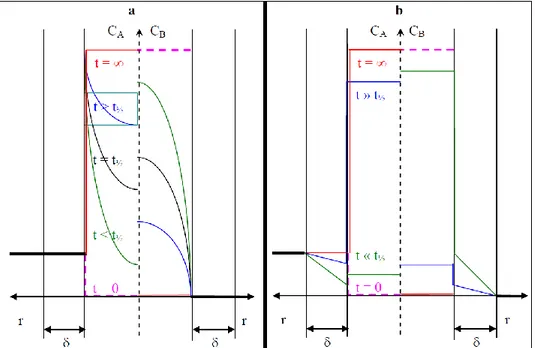 Figure 31 : Profils de concentrations radiales (a) pour la diffusion particulaire limitante et (b) pour la  diffusion limitante dans le film (épaisseur δ)