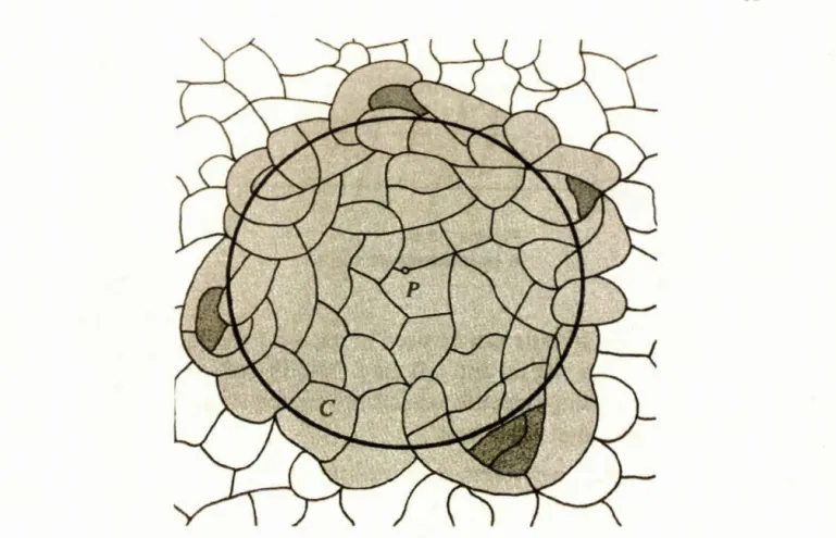 Figure  2.4:  Construction  du  patch  A (D , T )  généré  par  un  ensemble  D  :  soit  D 