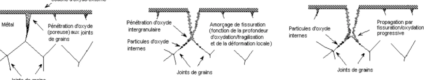 Figure II - 1-5 : Représentation schématique du modèle d’oxydation interne proposé par Scott  ( Scott, 1993 )  pour la fissuration de l’Alliage 600 exposé en milieu primaire