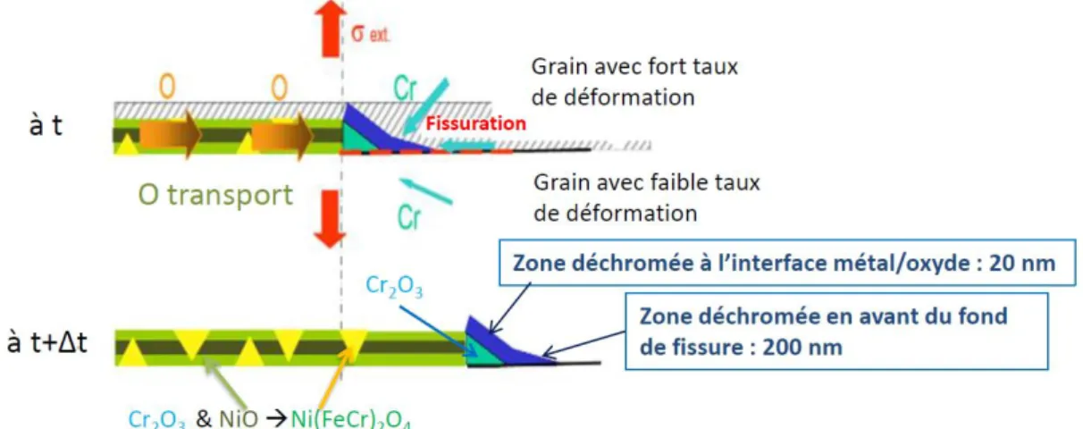 Figure II - 1-9 : Schéma d’une fissure principale de CSC et modèle de propagation de la fissure de CSC proposé  par Laghoutaris ( Laghoutaris, 2009 ) 