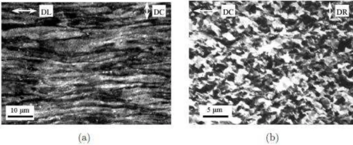 Figure 1.11 : microstructure des gaines en Zircaloy-4 détendu dans les plans (a) axial-circonférentiel et (b)  circonférentiel-radial (Fandeur 2001)