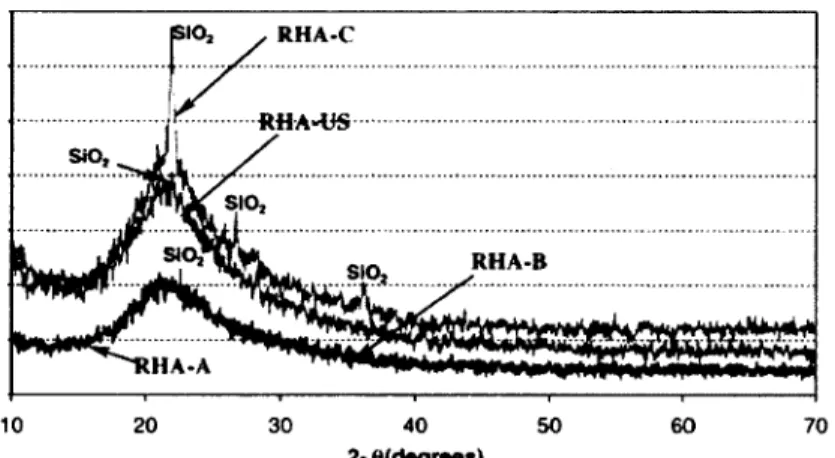 Figure  2.8 - Spectres de diffraction  aux  rayons X  pour différents échantillons  de  RHA  [Nehdi e t a l.,  2003]
