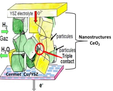 Figure  I-  8 :  Dépôt  de  CeO 2   comme  interface  nanostructurée  entre  l'électrolyte  et  l'anode d’une pile à oxyde solide (SOFC)