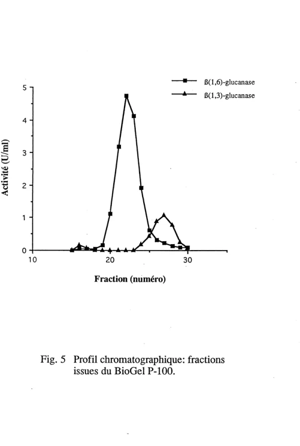 Fig. 5 Profil chromatographique: fractions issues du BioGel P-100.