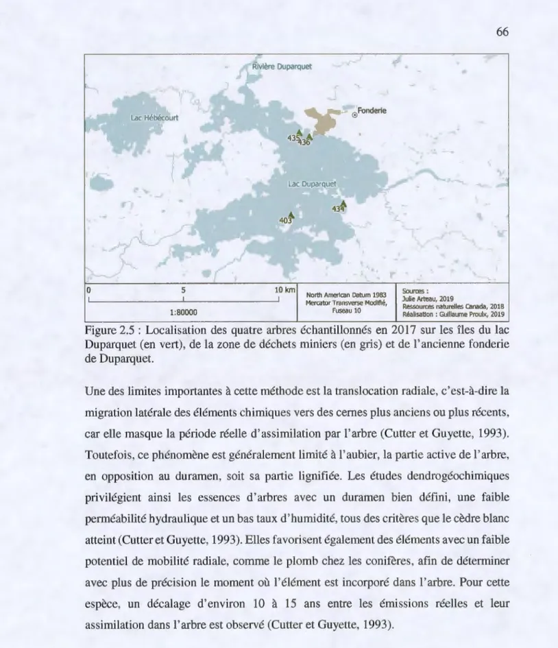 Figure 2.5  : Localisation des  quatre  arbres  échantillonnés en 2017  sur  les îles  du  lac  Duparquet (en vert),  de la zone de déchets miniers (en gris)  et de l' ancienne fonderie  de Duparquet