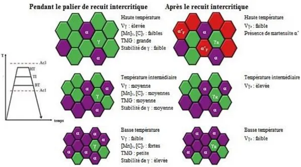 Figure  I-7  :  Schéma  simplifié  de  l'évolution  microstructurale  en  fonction  de  la  température  de  recuit,  adapté  de  [Lee, 