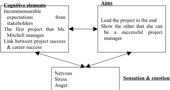 Figure 7 : Giving sense to the project: tensions from stakeholders’ expectations