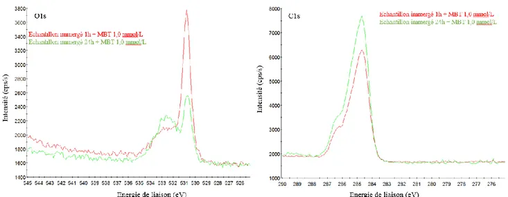 Figure 3.20 : Comparaison des spectres des niveaux de cœur O1s et C1s pour les échantillons  immergés 1h et 24h en présence de MBT 