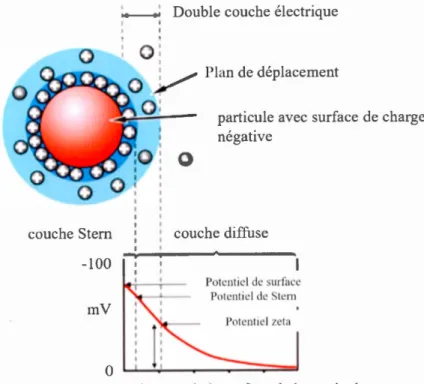 Figure 1.10 Double couche  électrique  d ' une particule dans un  liquide (adapté de 