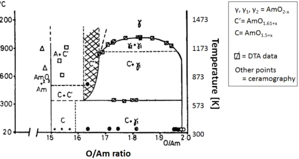 Fig. 2.4: The Am-O phase diagram according to Sari and Zamorani (figure extracted from [58]).
