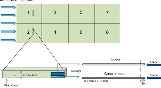 Figure 42: Schéma de découpe et sites de prélèvement des échantillons 