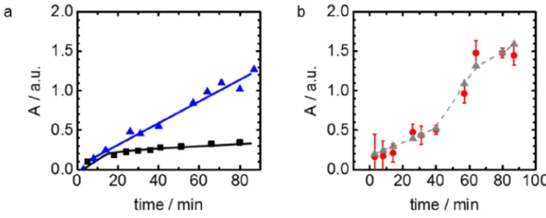 Fig. 3. Examples of localized in-situ Mg(OH) 2  growth kinetics on corroding Mg immersed in 10 mM NaCl 