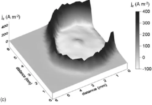 Fig. 17. Surface plots showing the distribution of normal current density j z  above a CP magnesium sample 